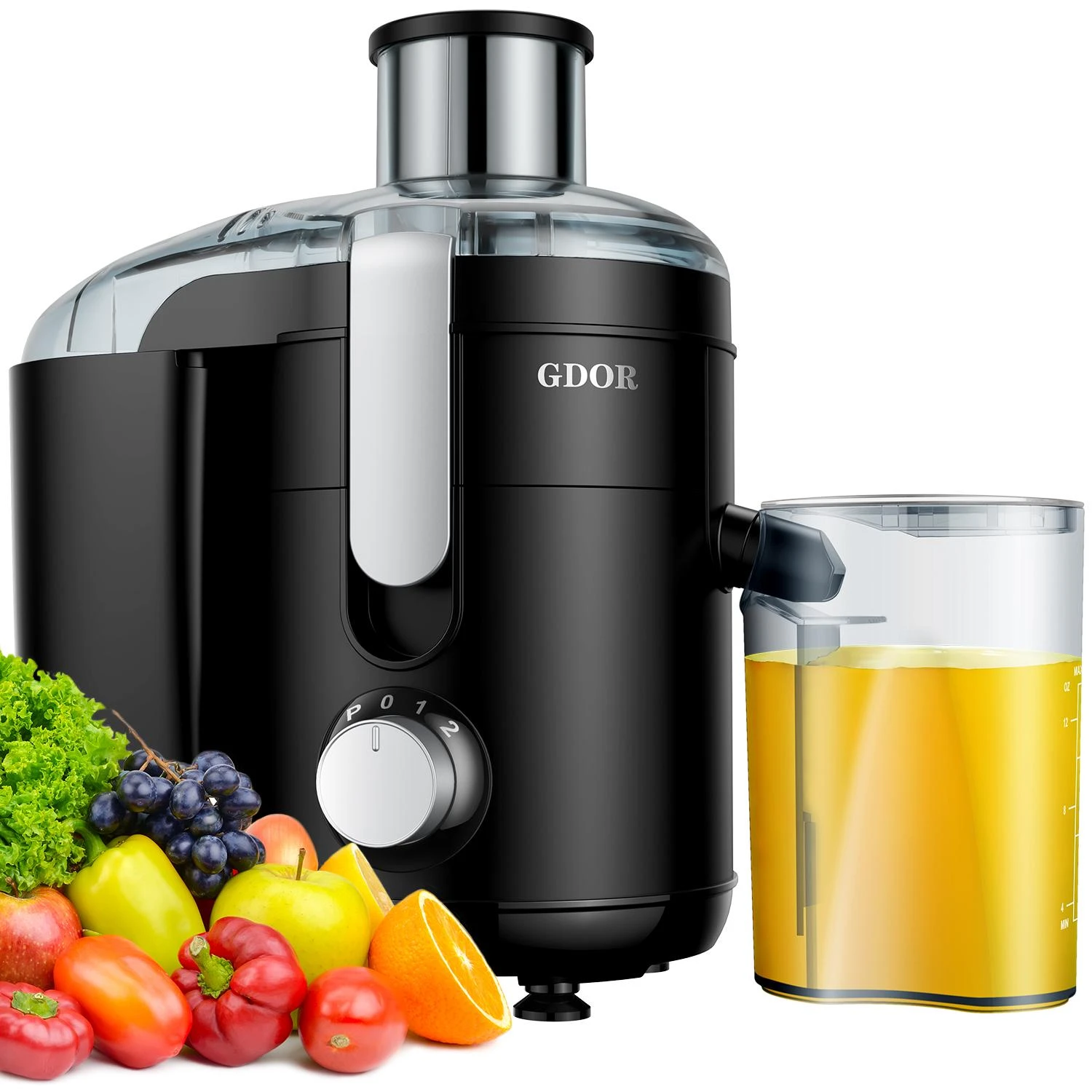 juicer & Food Processor