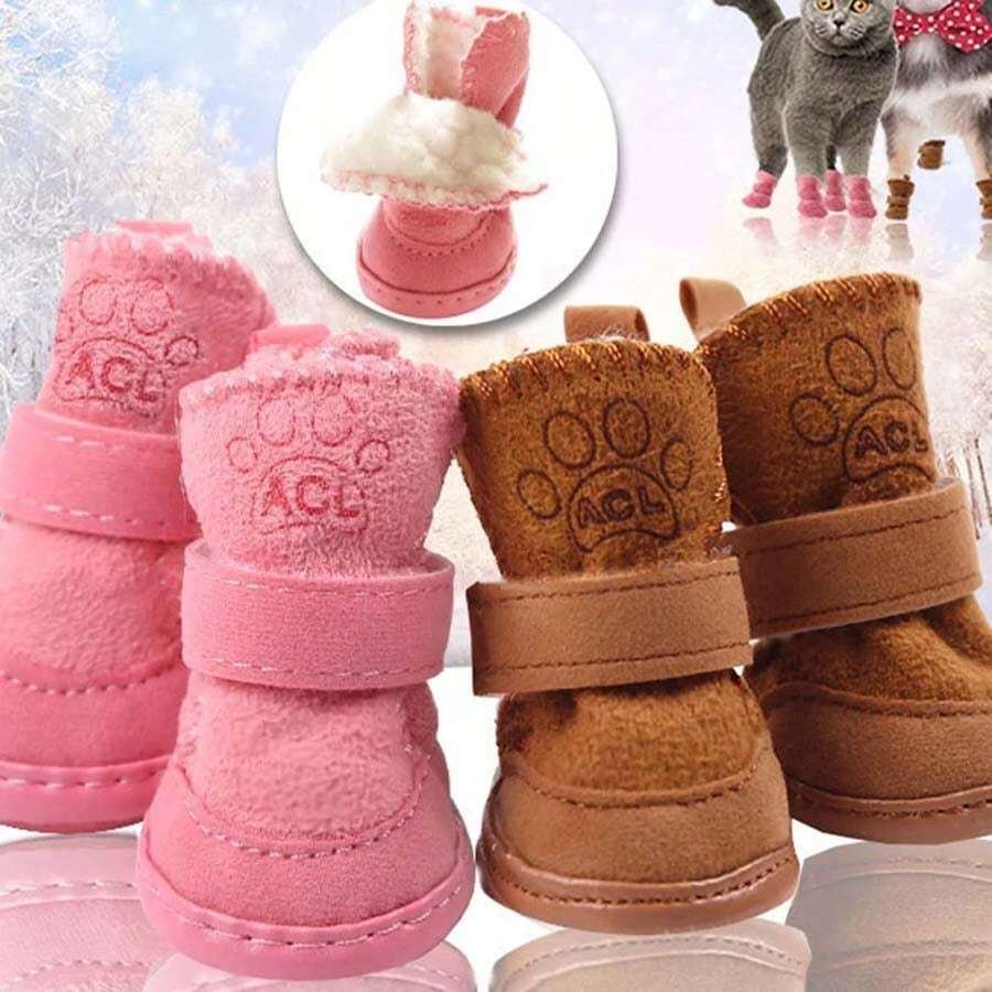 Pet Accessories