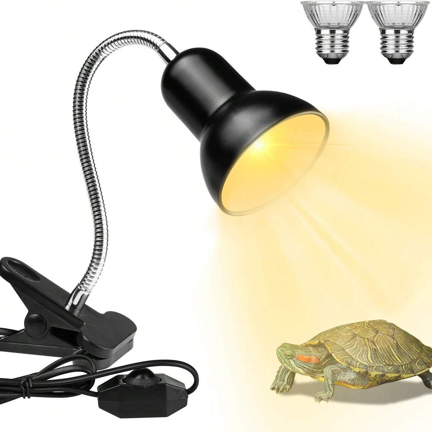 Reptile & AmphibianSupplies