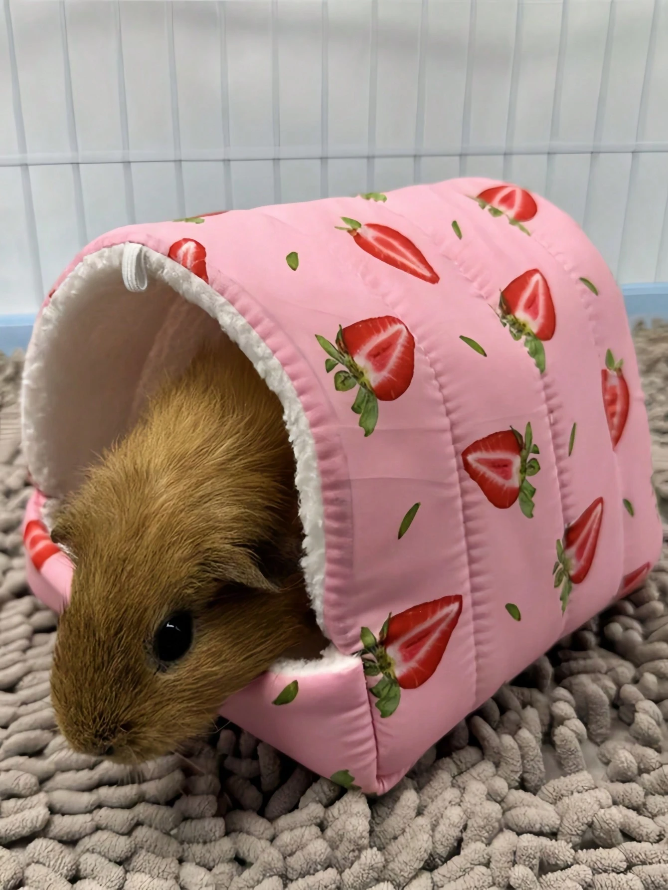 Small Animal Supplies