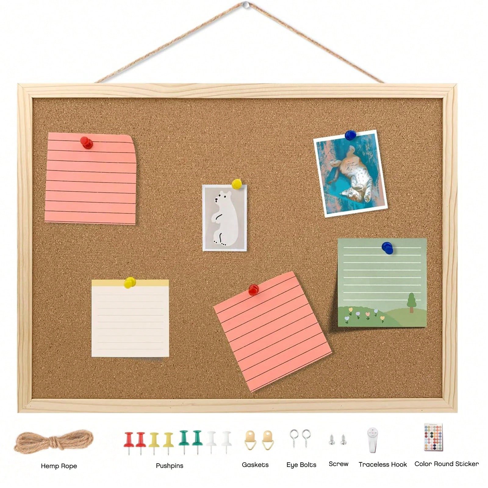 Presentation Supplies