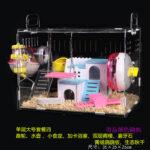 Acrylic Hamster Cage Double Layer Transparent Villa for Golden Bear, Castle Toy Set - Image 11