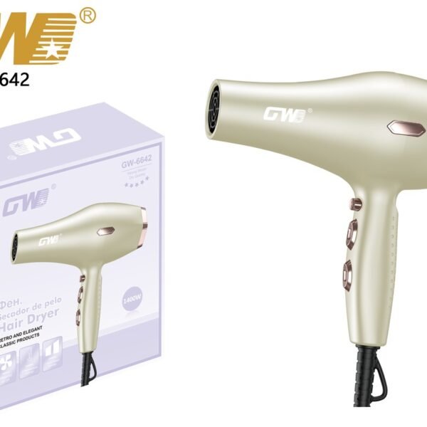 AC Motor Hair Dryer – GW-6642