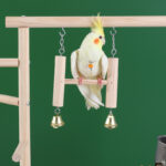 Tiger Skin Peony Cockatiel Bird Stand with Chain, Ladder, Nail File, Solid Wood Perch, Interactive Platform, Prickly Ash Wood Bird Stand - Image 4