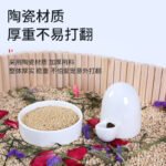Ceramic Quail Feeder and Waterer Set - Image 2