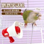 Parrot Talking Recorder Toy Interactive Toy for Parrots