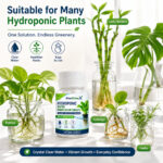 Hydroponic Water Purification Tablets - Image 4