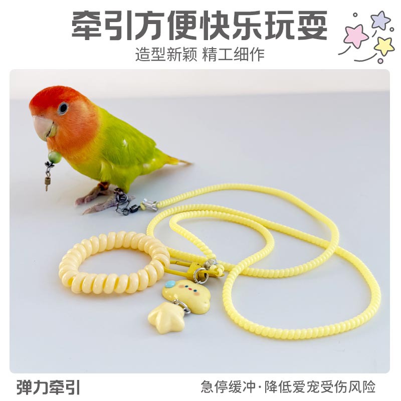 O1CN01623dcB2GEGy9VkHqw_2215119898983-0-cib.jpg Bird Outdoor Harness Parrot Flight Leash with Alloy Leg Ring - Image 1