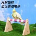 Parrot Play Stand Perch Platform Solid Wood Swing - Image 2