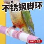 Parrot Leg Ring and Flight Leash Set - Image 3