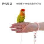 Bird Outdoor Harness Parrot Flight Leash with Alloy Leg Ring - Image 3