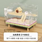 Panoramic Raised Wood House Transparent