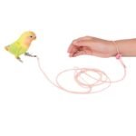 Parrot Flight Leash Ultra-Light Bird Harness with Leg Ring for Small to Medium Parrots - Image 5