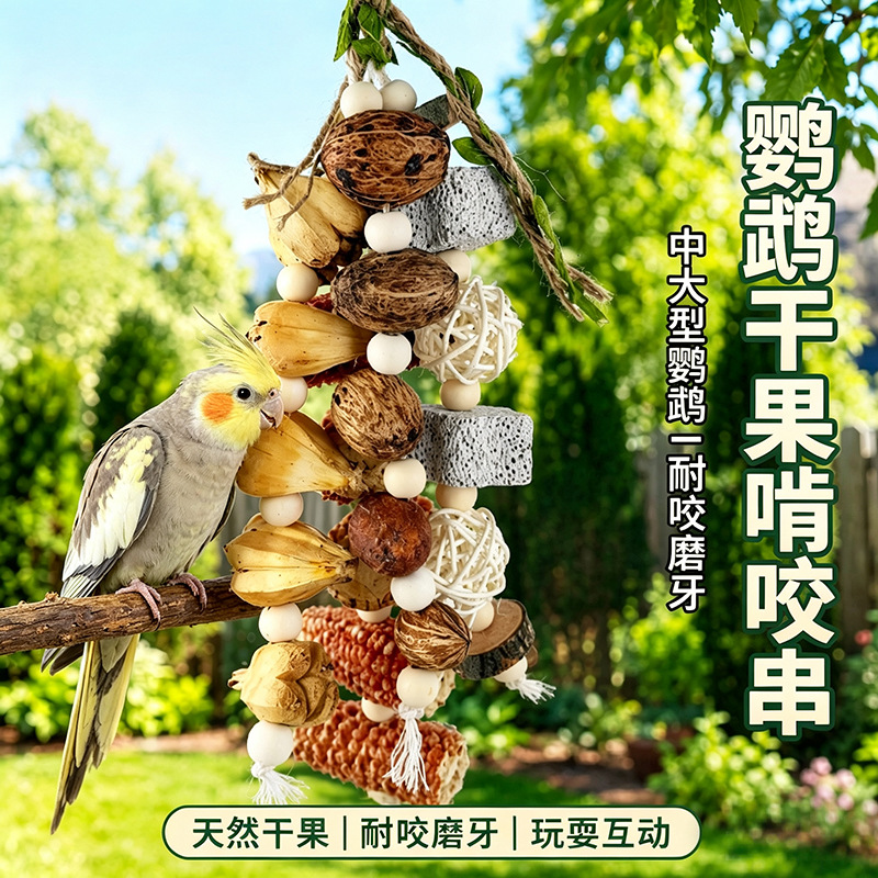 O1CN01E2NS4U2GEH0wfFCWa_2215119898983-0-cib.jpg Parrot Chewing Toy Dried Fruit Wood Mango String Bird Cage Accessory for Cockatiel Lovebird Small Pet Beak Grinding Claw Grinding Hanging String - Image 1