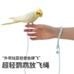 Bird Outdoor Harness Parrot Flight Leash with Alloy Leg Ring - Image 2