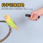 Parrot Flight Training Rope with Leg Ring Options - Image 4