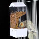 Parrot Anti-Splash Automatic Feeder, Transparent New Feeder for Budgies, Lovebirds, Cockatiels