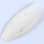 Small Loose Cuttlebone 9 11cm