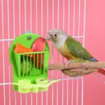 Quail Feeder, Chick Vegetable Rack, Waterer, Bird Feeding Trough, Landscape Supplies, Bird Feeding Supplies - Image 3