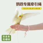 Parrot Flight Leash Ultra-Light Retractable Leash for Cockatiels, Sun Conures, Budgies, Outdoor Bird Walking Tool - Image 3