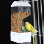 Parrot Anti-Splash Automatic Feeder, Transparent New Feeder for Budgies, Lovebirds, Cockatiels - Image 2