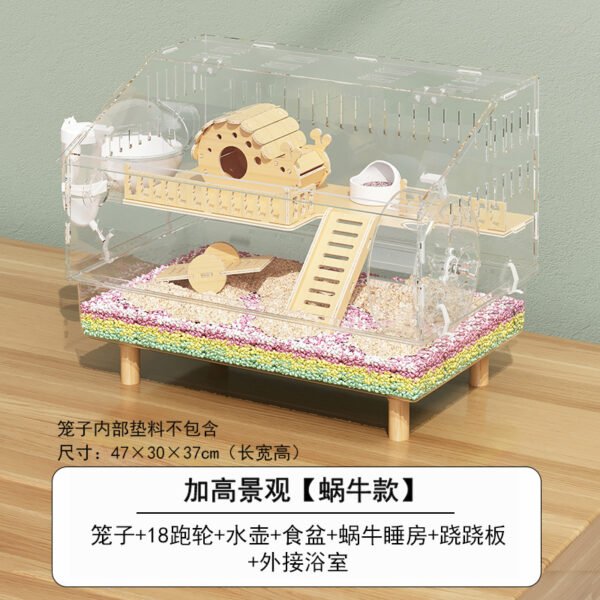 Panoramic Raised Snail Seesaw Transparent