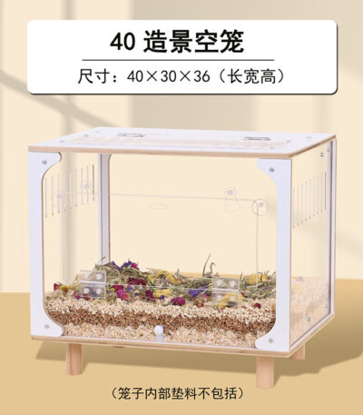 Second Generation 40cm Viewing Cage
