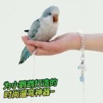 Parrot Flight Leash Ultra-Light Retractable Leash for Cockatiels, Sun Conures, Budgies, Outdoor Bird Walking Tool