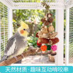 Parrot Chewing Toy Dried Fruit Wood Mango String Bird Cage Accessory for Cockatiel Lovebird Small Pet Beak Grinding Claw Grinding Hanging String - Image 2