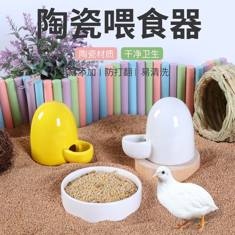 O1CN01bFDNUz2GEGggiLpj8_2215119898983-0-cib.jpg Ceramic Quail Feeder and Waterer Set - Image 1