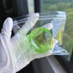 Green Apple