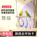 Parrot Chewing Toy Ring Swing Perch Tunnel for Budgie Cockatiel Lovebird - Image 3