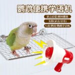 Parrot Talking Recorder Toy Interactive Toy for Parrots - Image 3
