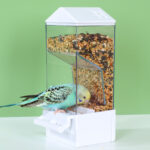 Parrot Anti-Splash Automatic Feeder, Transparent New Feeder for Budgies, Lovebirds, Cockatiels - Image 4