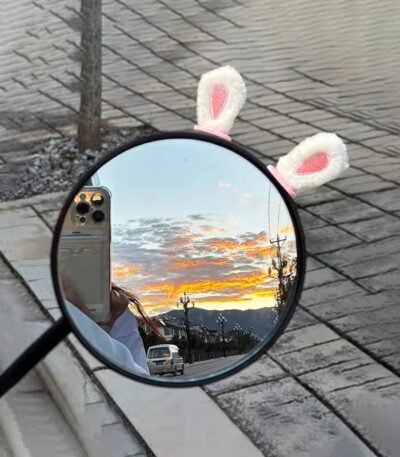 Plush Rabbit Ears White Pair