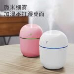 Mini Y Style USB Egg Humidifier with Aroma Diffuser, Portable Car and Home Use