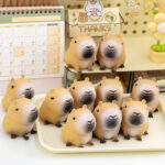 Capybara Kun