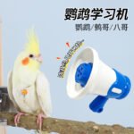 Parrot Talking Recorder Toy Interactive Toy for Parrots - Image 4
