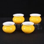 Spittoon-Style Bird Food Cup, Bird Food Bowl, Bird Cage Accessory, Water Cup, Anti-Splash Trough, Myna Bird Food Bowl - Image 10