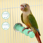 Parrot Sugar-Coated Wave Anti-Slip Frosted Nail Grinding Stick Resin Constant Temperature Perch Bird Cage Special Perch Stick - Image 3