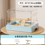 Acrylic Transparent Empty Cage Blue