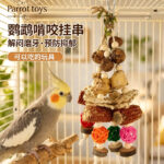 Parrot Chewing Toy Dried Fruit Wood Mango String Bird Cage Accessory for Cockatiel Lovebird Small Pet Beak Grinding Claw Grinding Hanging String - Image 4