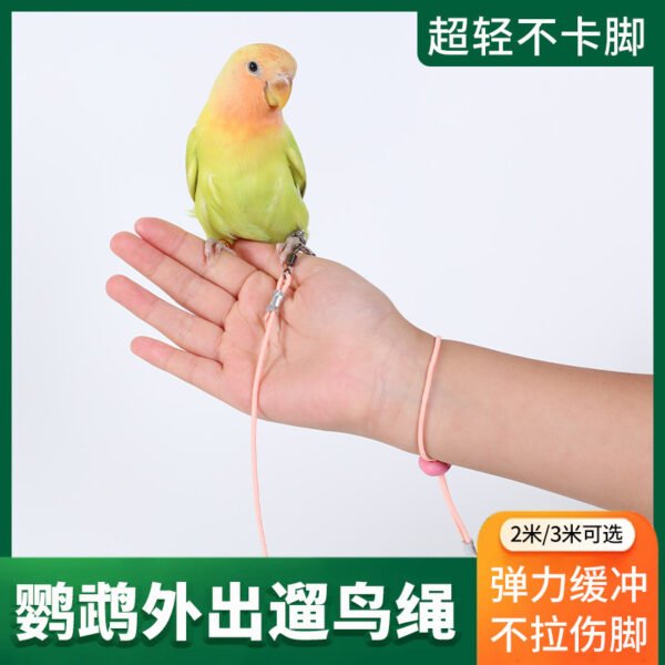 Product Specification: 2m Black Elastic Leash / Color / Model: Leash Only (No Leg Ring