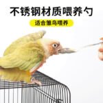 Parrot Feeding Spoon Stainless Steel for Hand-Feeding Baby Birds - Image 2
