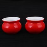 Spittoon-Style Bird Food Cup, Bird Food Bowl, Bird Cage Accessory, Water Cup, Anti-Splash Trough, Myna Bird Food Bowl - Image 11