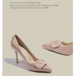 Nude High Heel Pumps for Women 2025 French Style Design Buckle Pointed Toe New Small Famous - Image 2