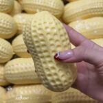 Peanut Squeeze Toy Stress Relief Slow Rebound Creative Decompression Gadget Simulation Food Squeeze Peanut - Image 3