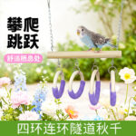 Parrot Chewing Toy Ring Swing Perch Tunnel for Budgie Cockatiel Lovebird