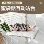 Sugar Glider Stainless Steel Platform Perch - Image 2