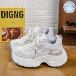 Women's Autumn New Breathable Mesh Sports Shoes Korean Style Versatile Chunky Sole Dad Sneakers - Image 4